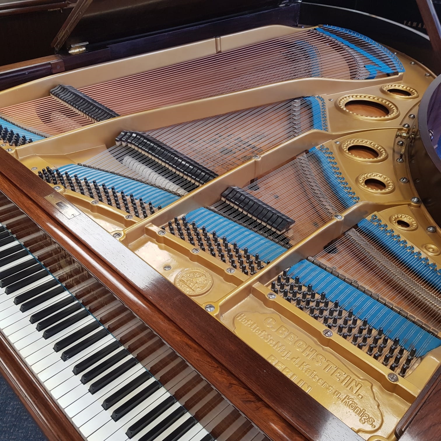 Bechstein V