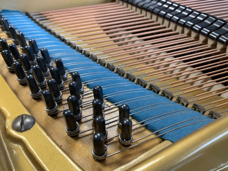 Bechstein V