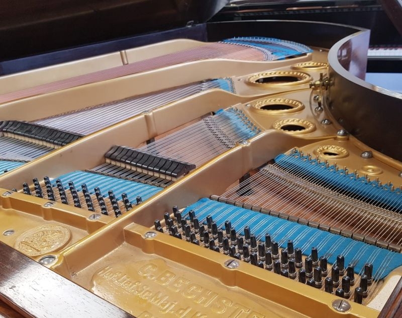 Bechstein V