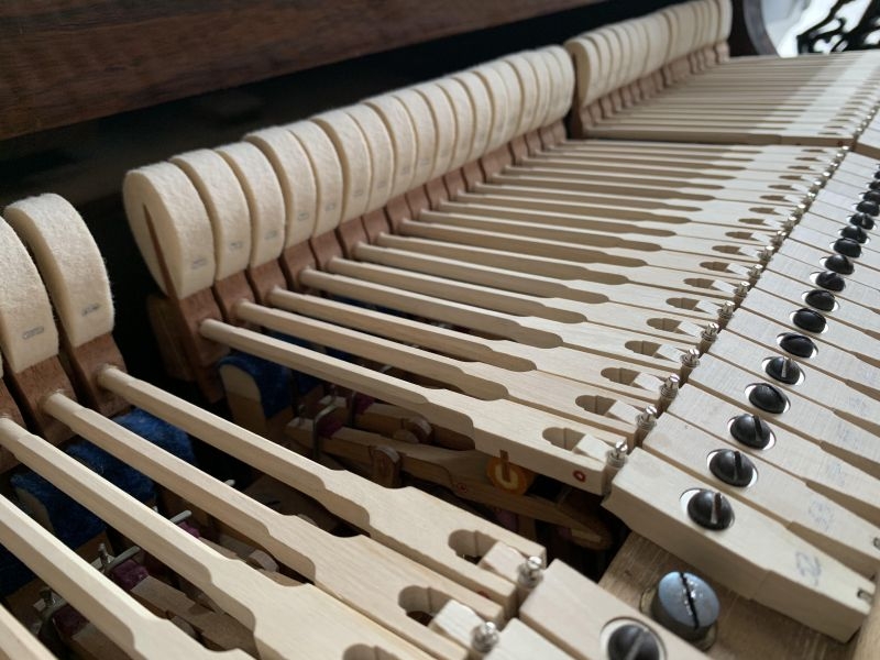 Bechstein V