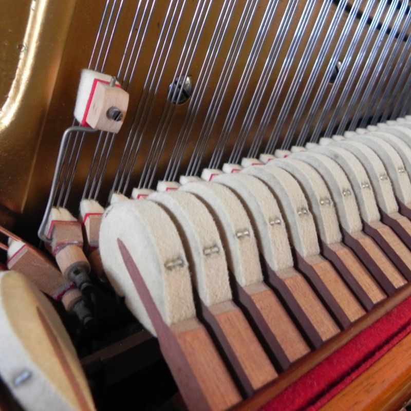 Bechstein 8