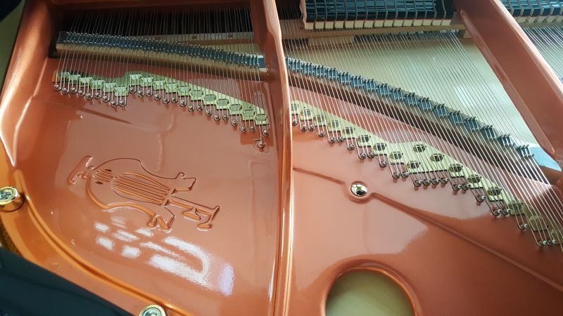 Feurich F162 Dynamic I