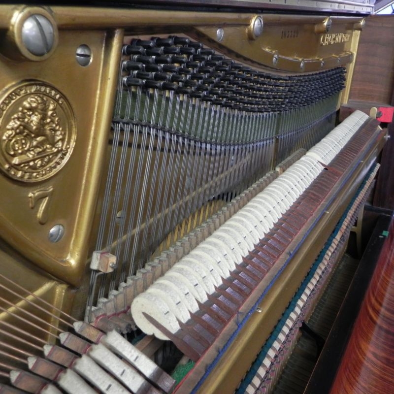 Bechstein 7