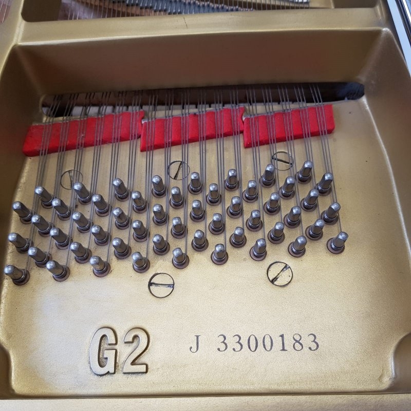 Yamaha G2