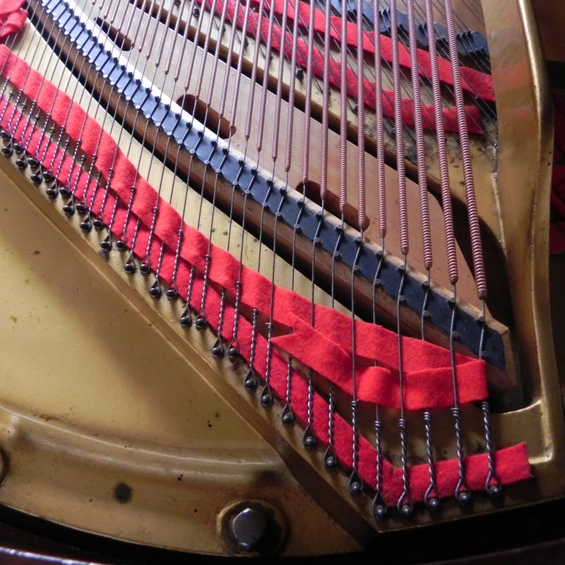 Steinway model O