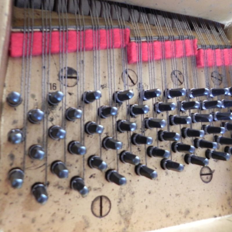 Steinway model O