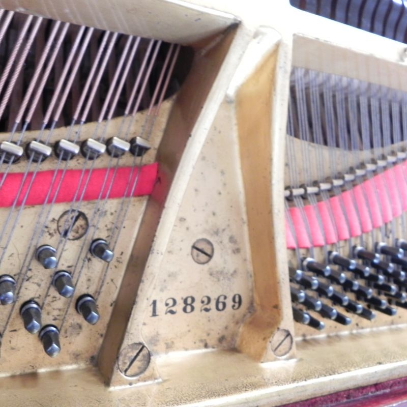 Steinway model O