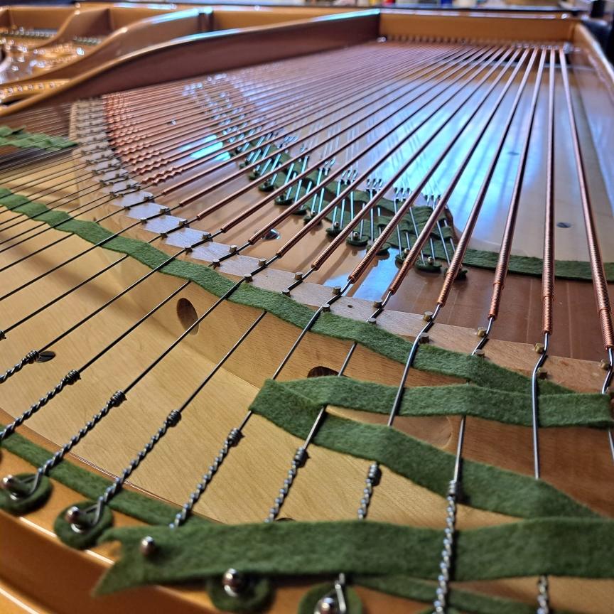 Bechstein Model V grand Piano in Brazilian rosewood – Gallery image – Roberts Pianos Oxford