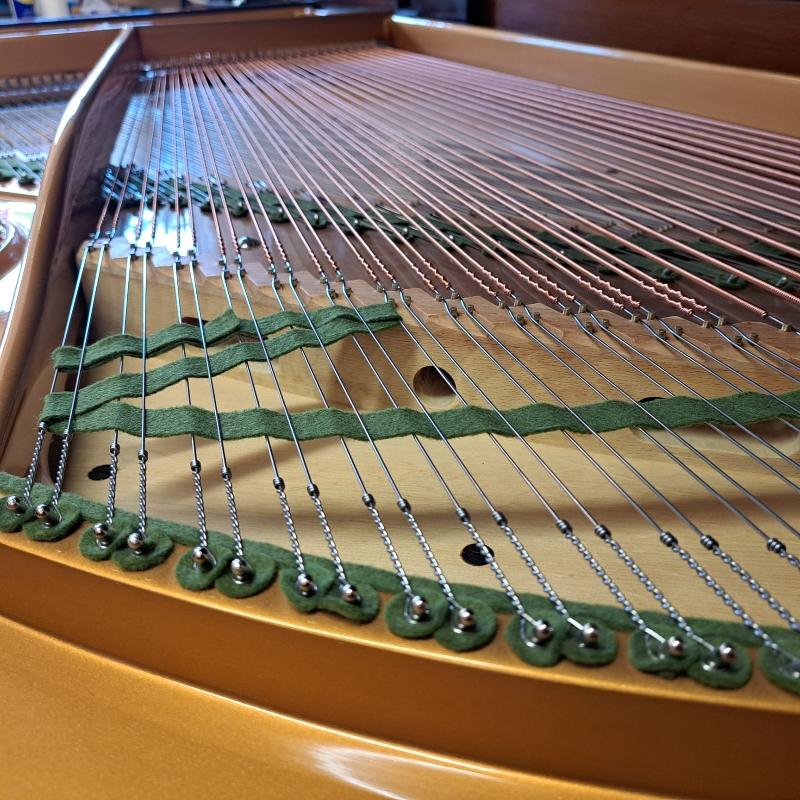Bechstein Model V grand Piano in Brazilian rosewood – Gallery image – Roberts Pianos Oxford