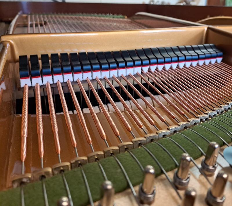 Bechstein Model V grand Piano in Brazilian rosewood – Gallery image – Roberts Pianos Oxford