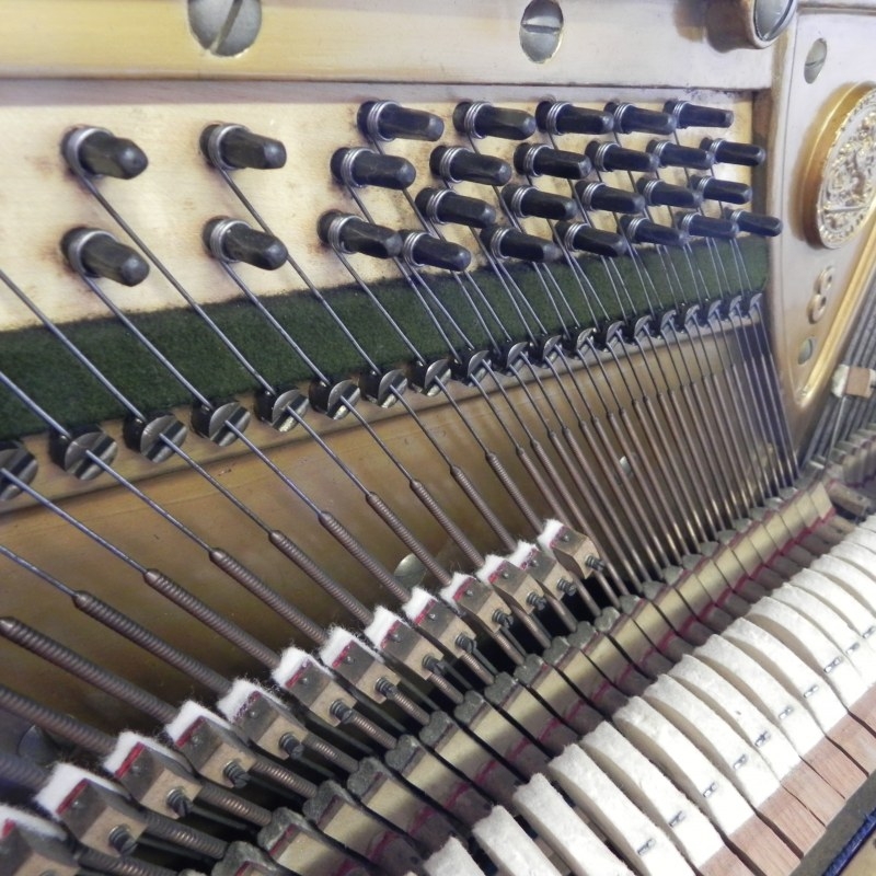 Bechstein 8