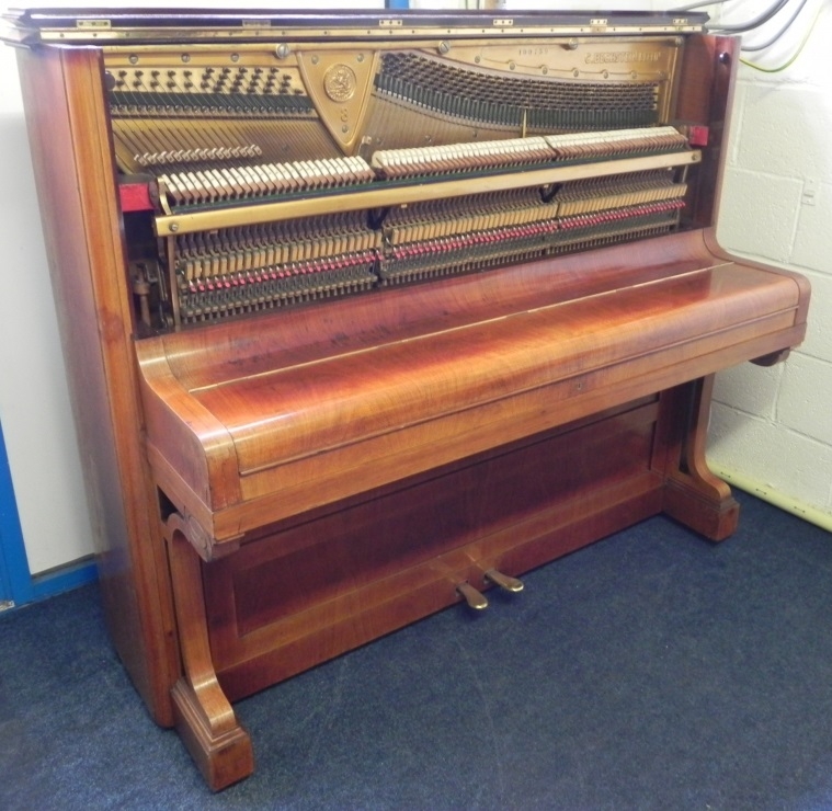 Bechstein 8
