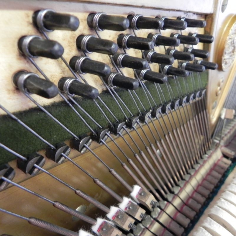 Bechstein 8