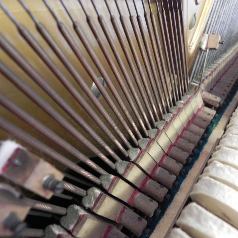Bechstein 8