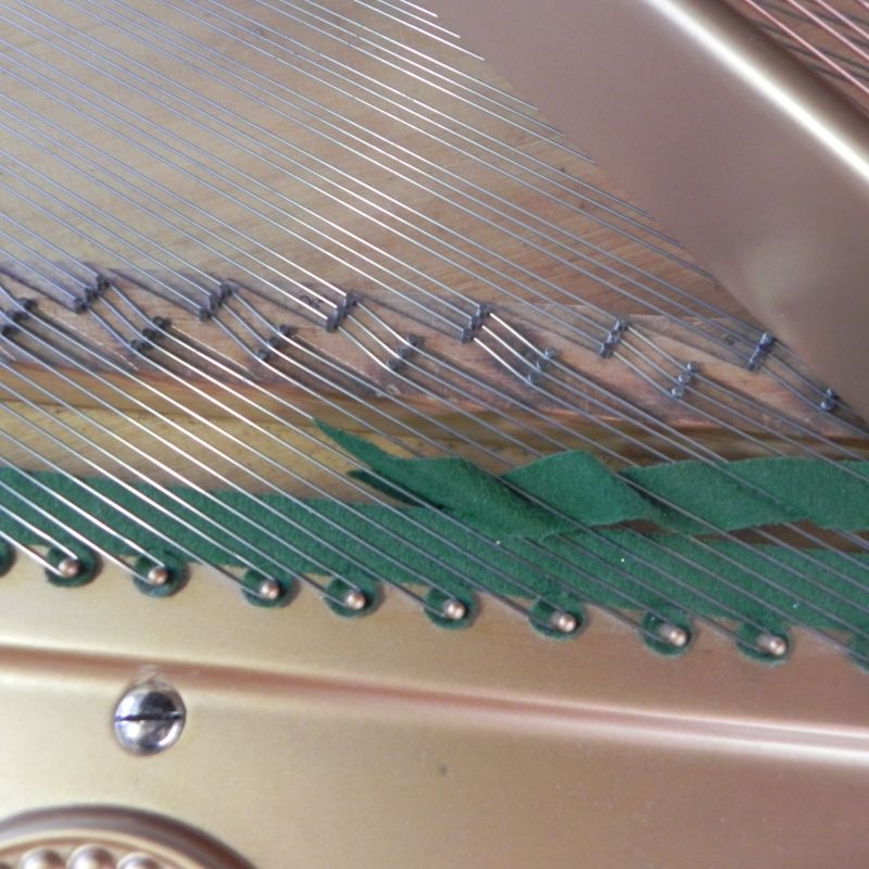 Bechstein IV