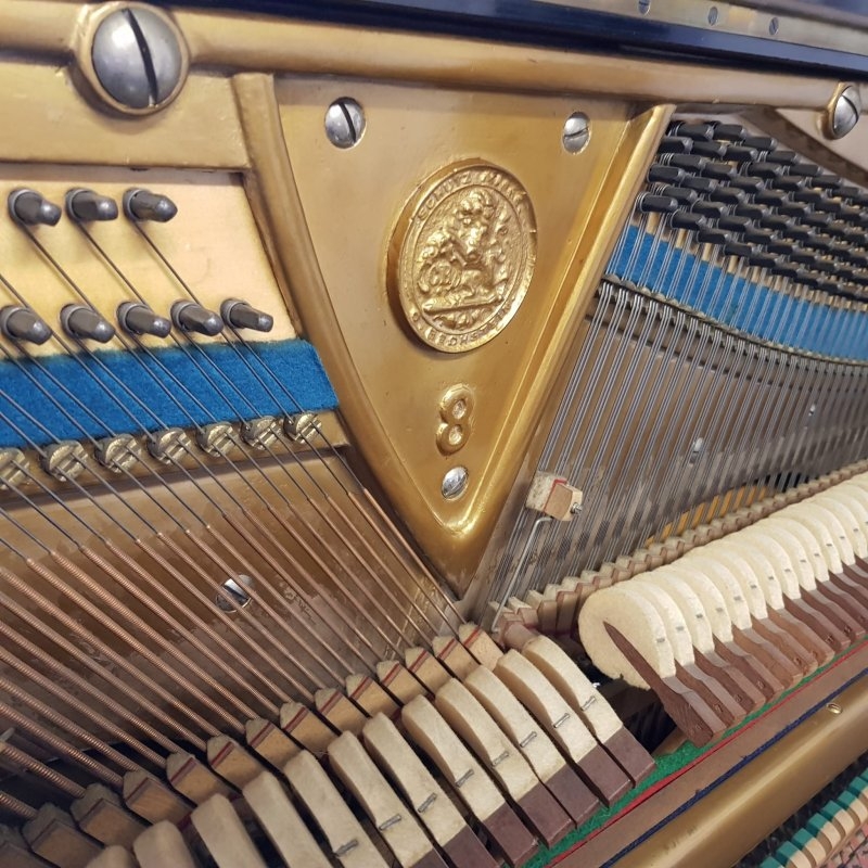 Bechstein 8
