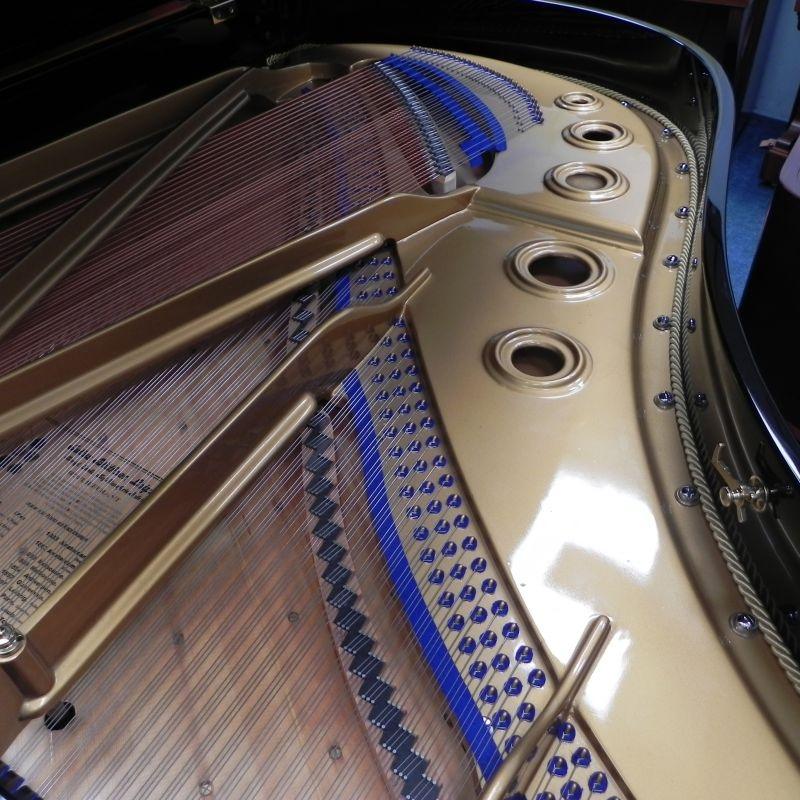 Bluthner Style VII grand Piano in Black – Gallery image – Roberts Pianos Oxford