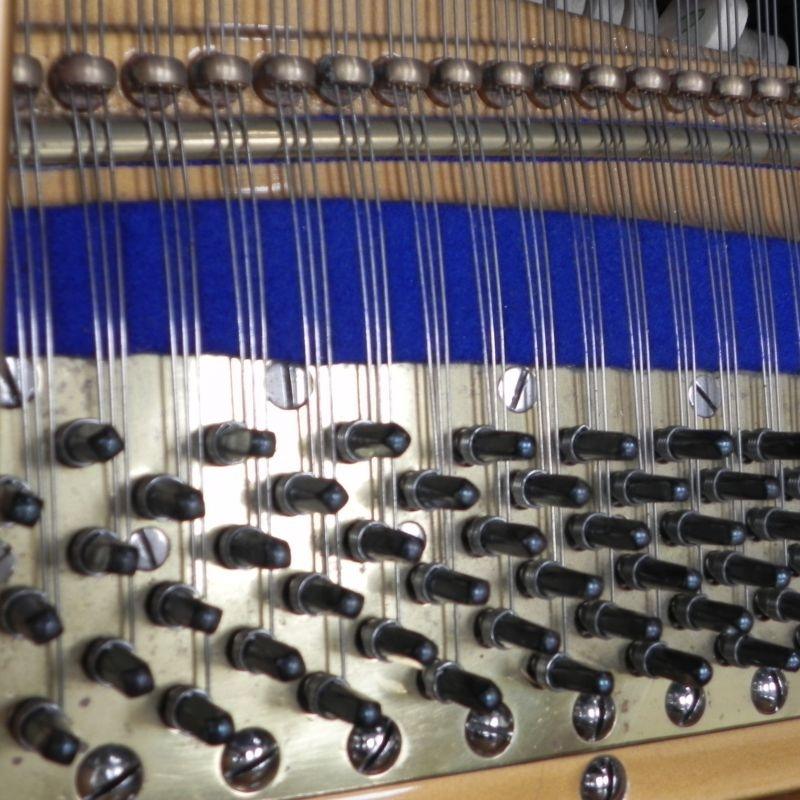 Bluthner Style VII grand Piano in Black – Gallery image – Roberts Pianos Oxford