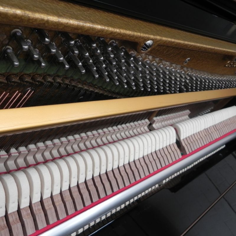 Bechstein Millennium