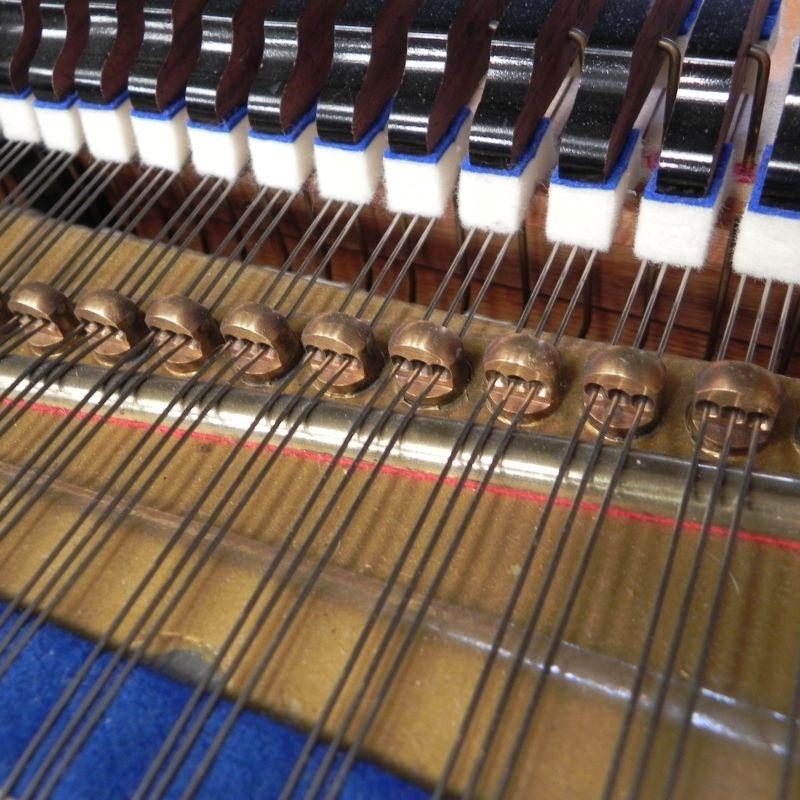 Bluthner Style VII grand Piano in rosewood – Gallery image – Roberts Pianos Oxford