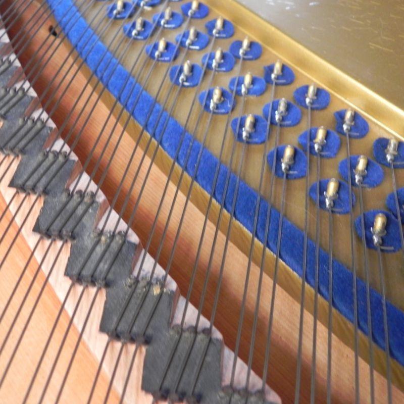 Bluthner Style VII grand Piano in rosewood – Gallery image – Roberts Pianos Oxford