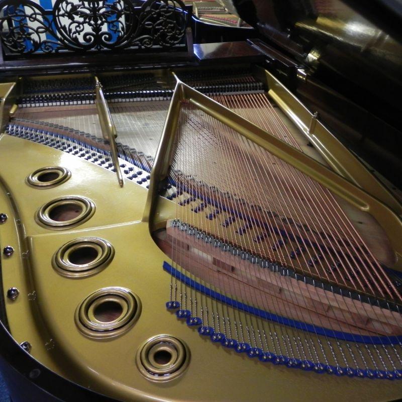 Bluthner Style VII grand Piano in rosewood – Gallery image – Roberts Pianos Oxford