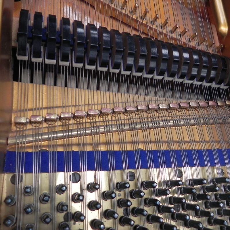 Bluthner Style VIII grand Piano in bright black – Gallery image – Roberts Pianos Oxford