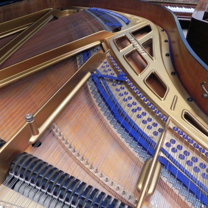 Bluthner Style VIII grand Piano in bright black – Gallery image – Roberts Pianos Oxford