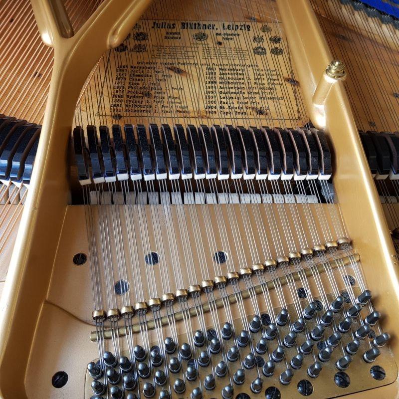 Bluthner V grand Piano in rosewood – Gallery image – Roberts Pianos Oxford