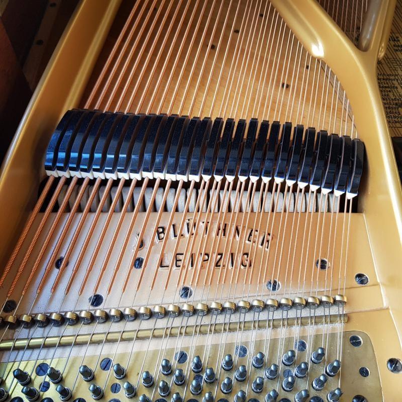 Bluthner V grand Piano in rosewood – Gallery image – Roberts Pianos Oxford