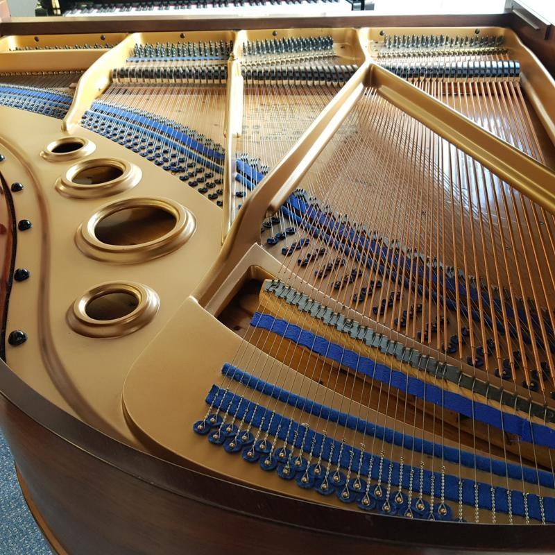 Bluthner V grand Piano in rosewood – Gallery image – Roberts Pianos Oxford