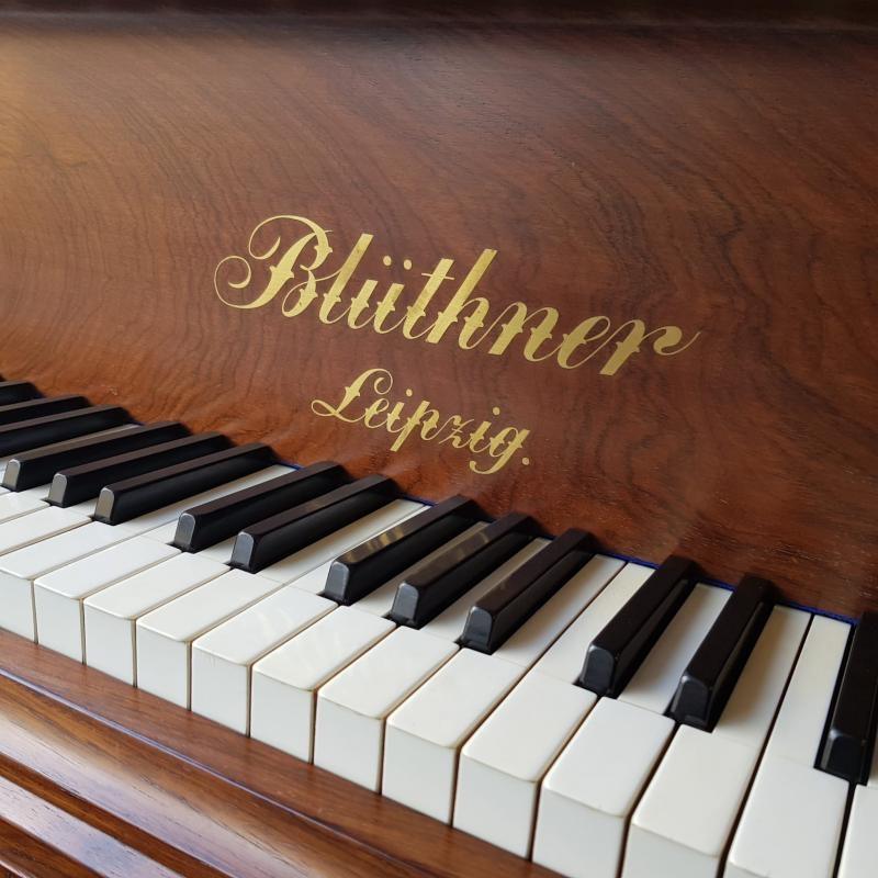 Bluthner V grand Piano in rosewood – Gallery image – Roberts Pianos Oxford
