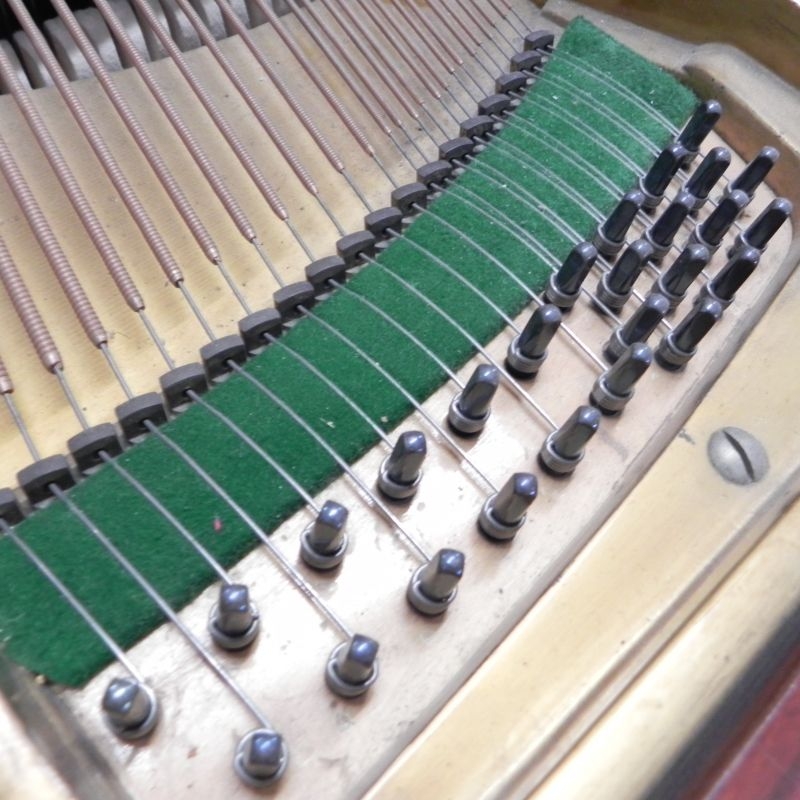 Bechstein C