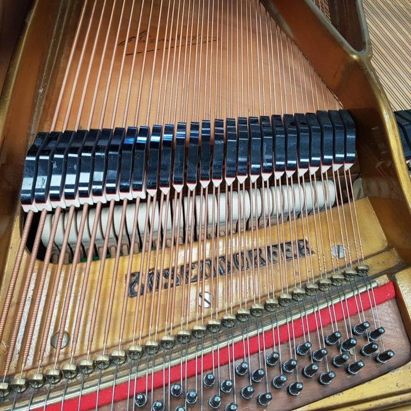 Bosendorfer 200 grand Piano in mahogany – Gallery image – Roberts Pianos Oxford