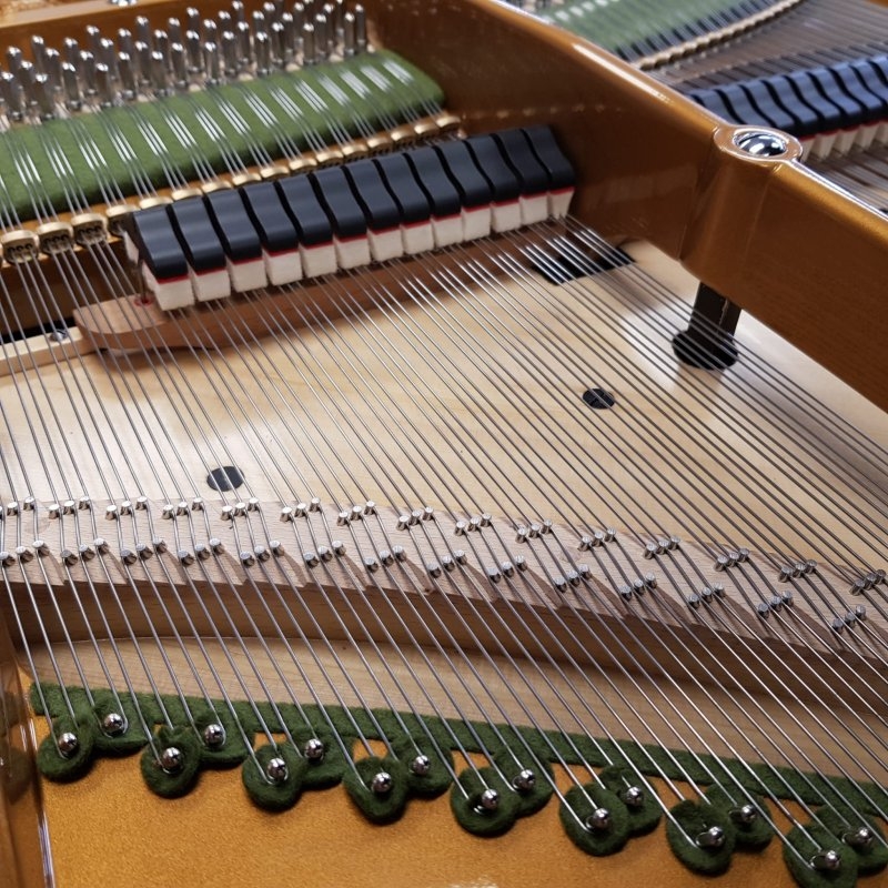 Bechstein model V