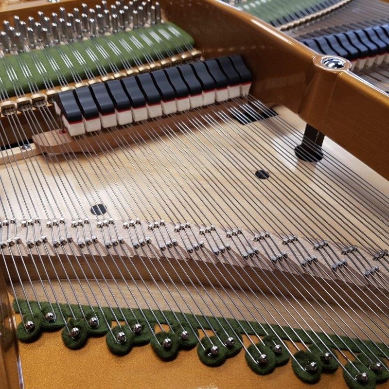 Bechstein Model V grand Piano in Bright black – Gallery image – Roberts Pianos Oxford