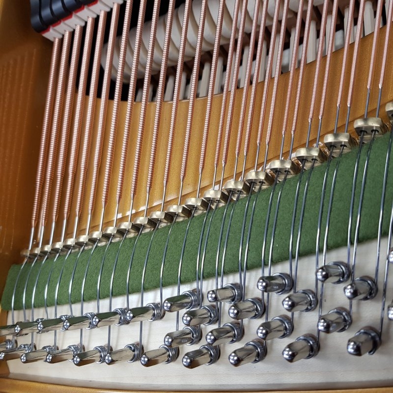 Bechstein model V