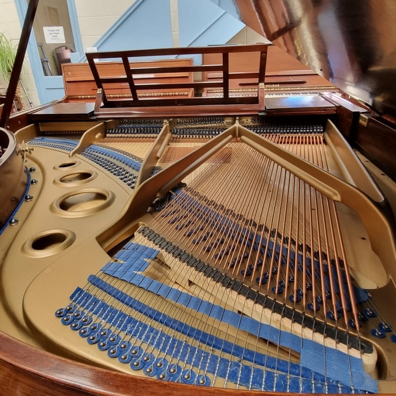 Bluthner V grand Piano in Rosewood – Gallery image – Roberts Pianos Oxford