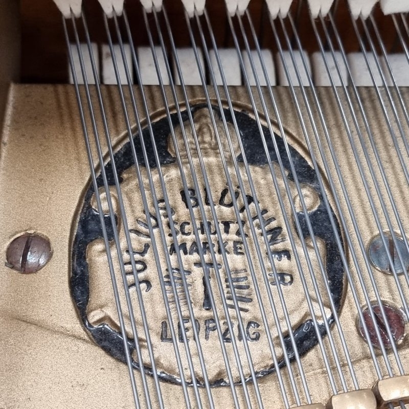 Bluthner V grand Piano in Rosewood – Gallery image – Roberts Pianos Oxford