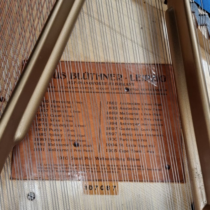 Bluthner V grand Piano in Rosewood – Gallery image – Roberts Pianos Oxford