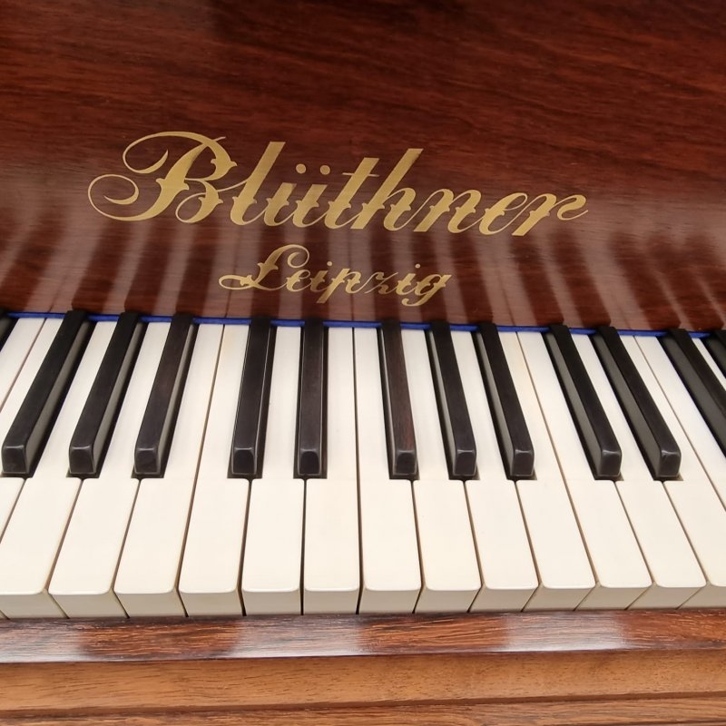Bluthner V grand Piano in Rosewood – Gallery image – Roberts Pianos Oxford