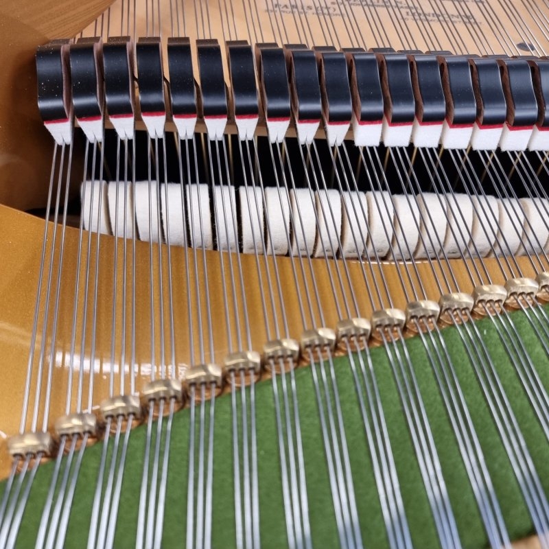 Bechstein model V
