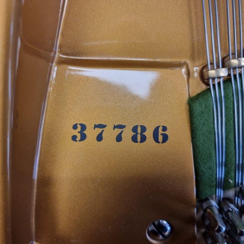 Bechstein Model V grand Piano in Bright black – Gallery image – Roberts Pianos Oxford