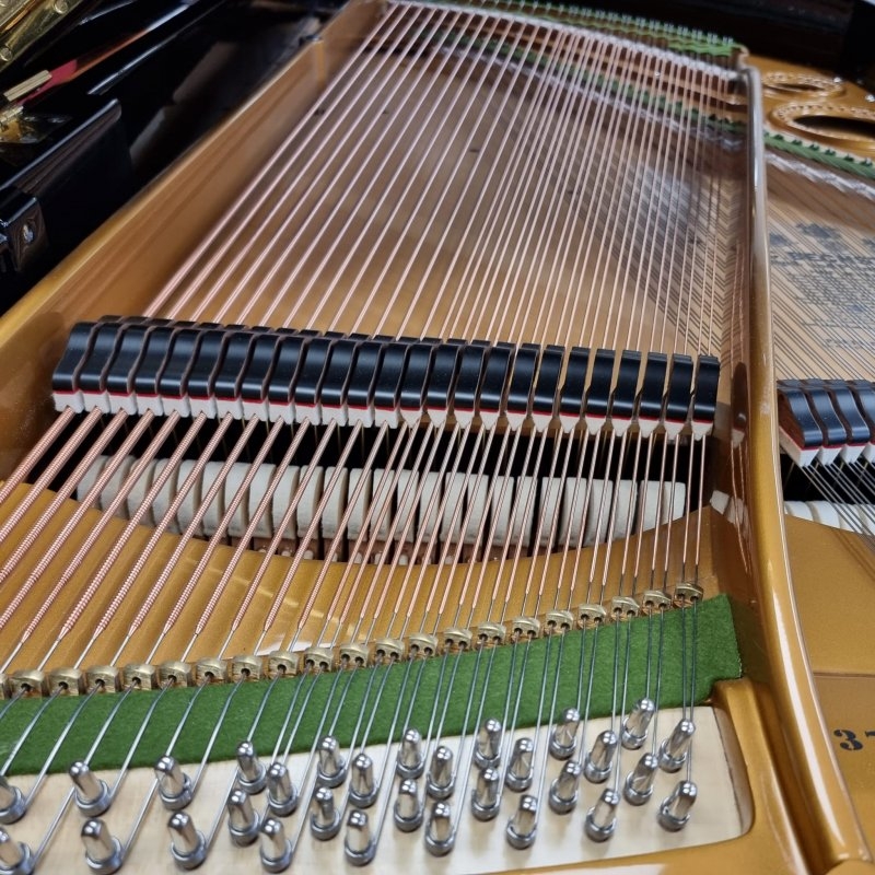 Bechstein model V