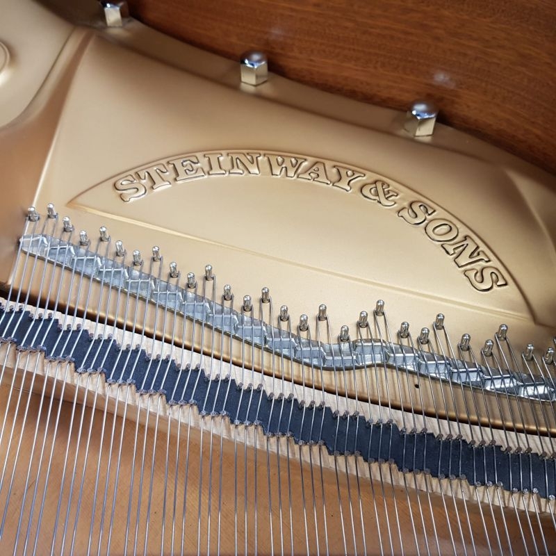 Steinway B