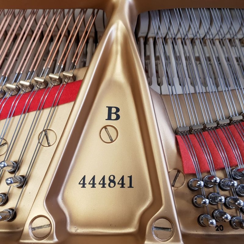 Steinway B