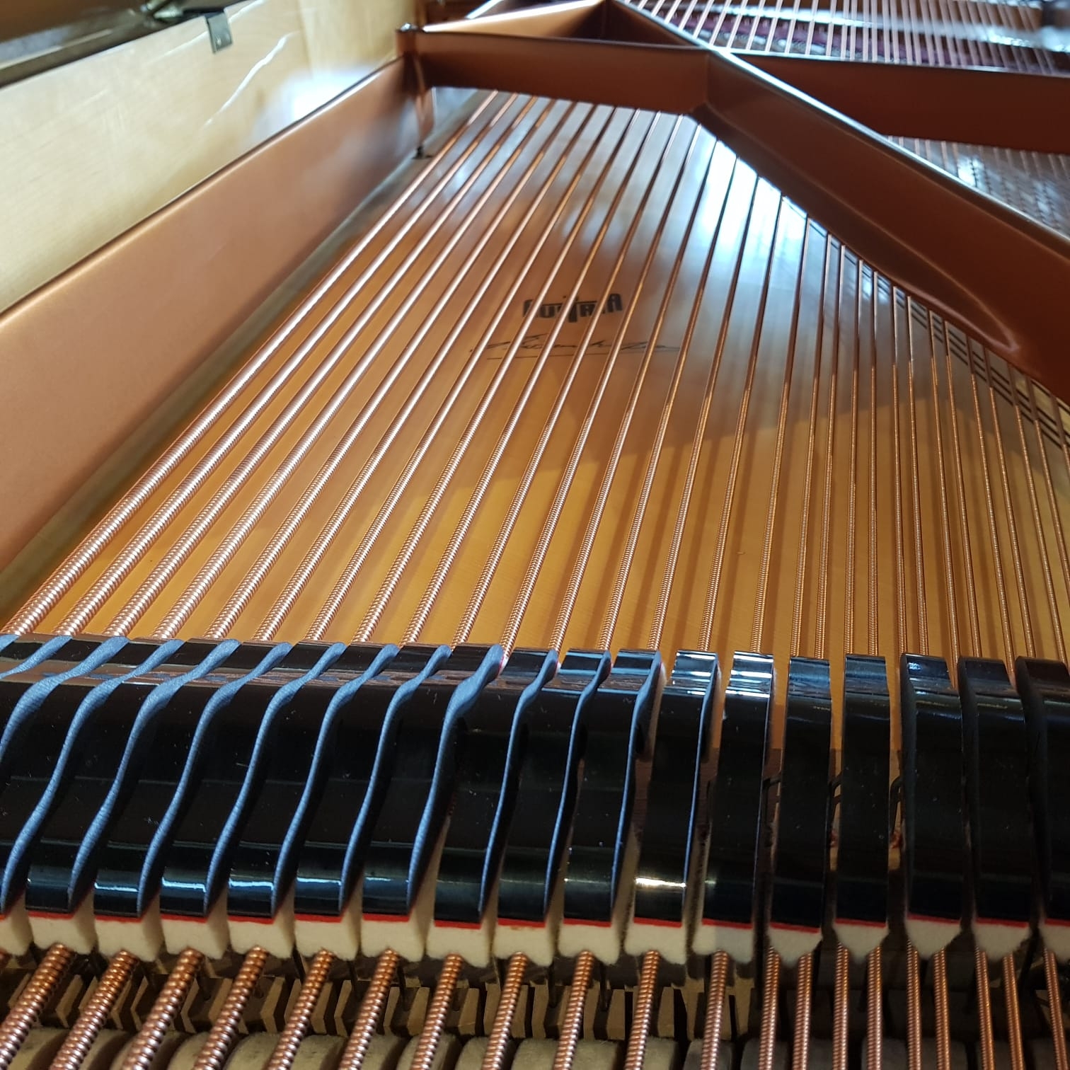Bosendorfer Imperial grand Piano in dark walnut – Gallery image – Roberts Pianos Oxford