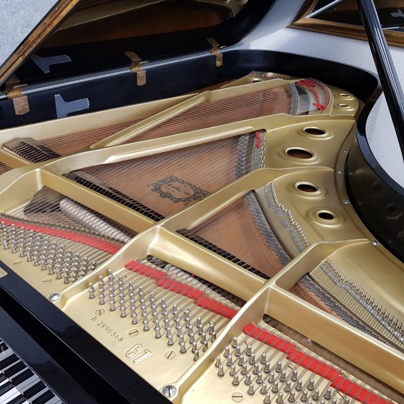 Yamaha C7