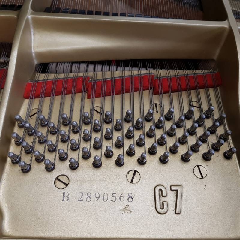 Yamaha C7