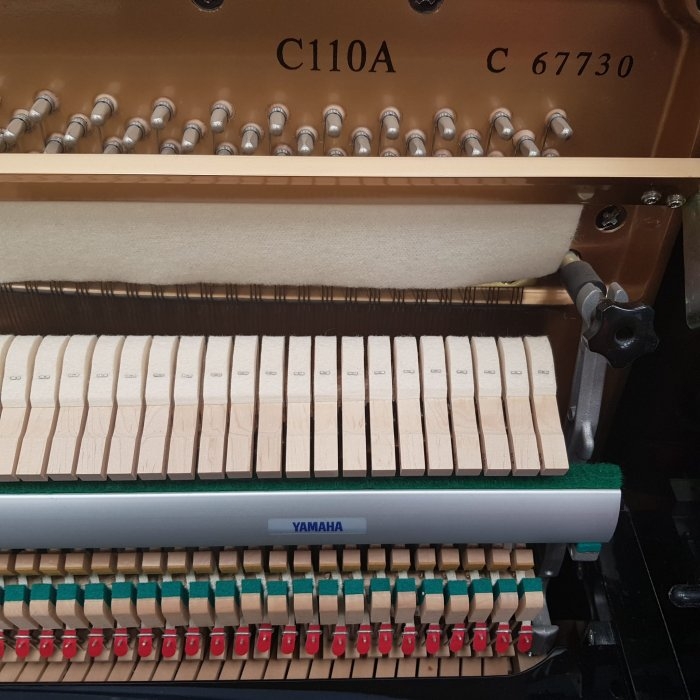 Yamaha C110A